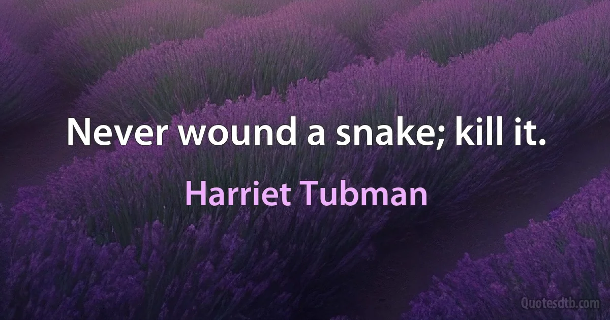 Never wound a snake; kill it. (Harriet Tubman)