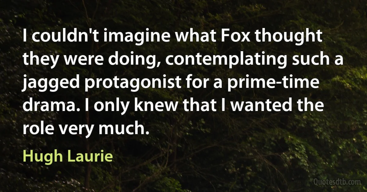 I couldn't imagine what Fox thought they were doing, contemplating such a jagged protagonist for a prime-time drama. I only knew that I wanted the role very much. (Hugh Laurie)