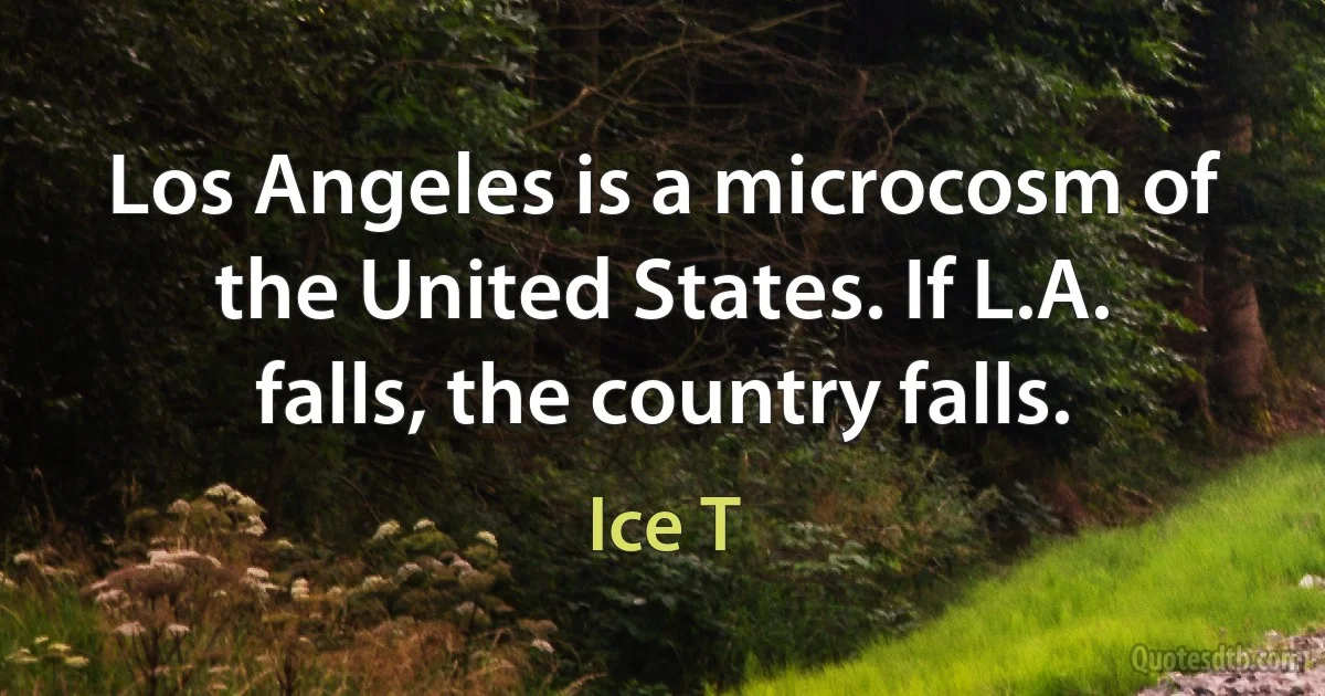 Los Angeles is a microcosm of the United States. If L.A. falls, the country falls. (Ice T)