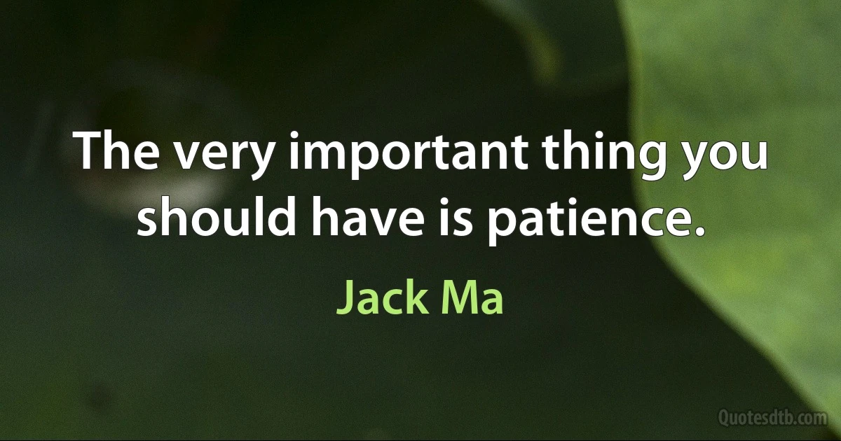 The very important thing you should have is patience. (Jack Ma)