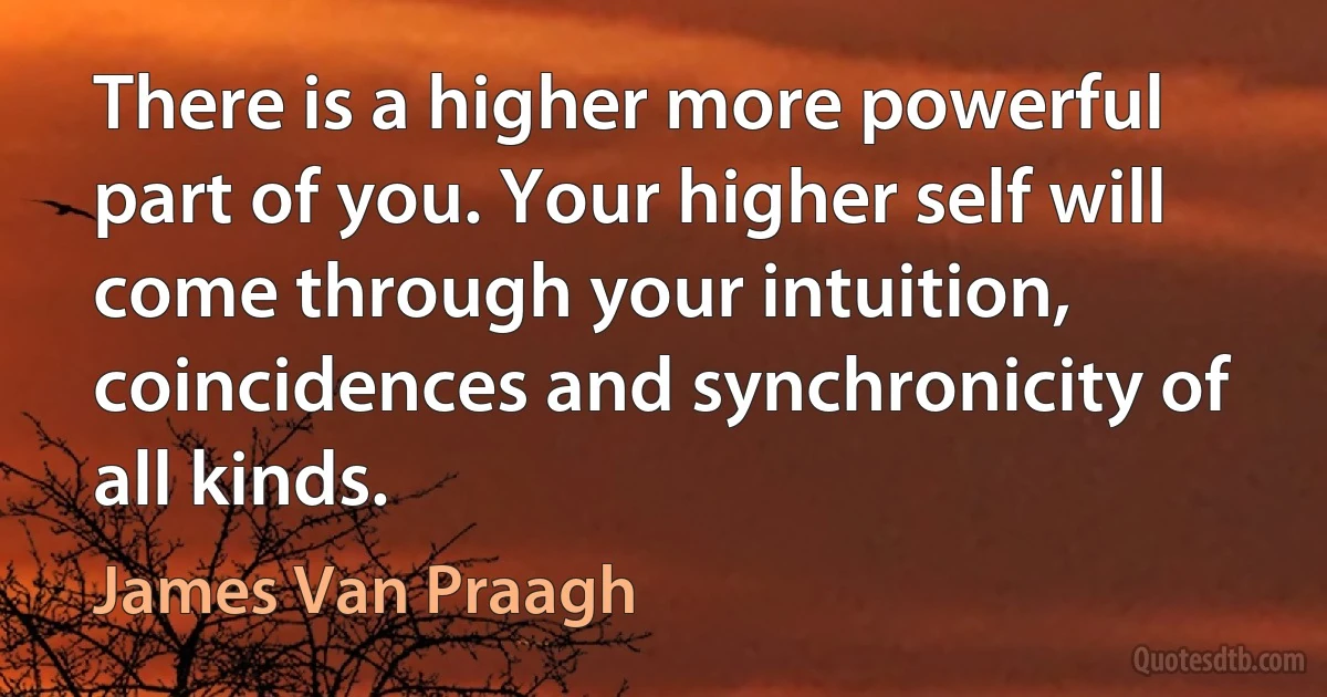 There is a higher more powerful part of you. Your higher self will come through your intuition, coincidences and synchronicity of all kinds. (James Van Praagh)