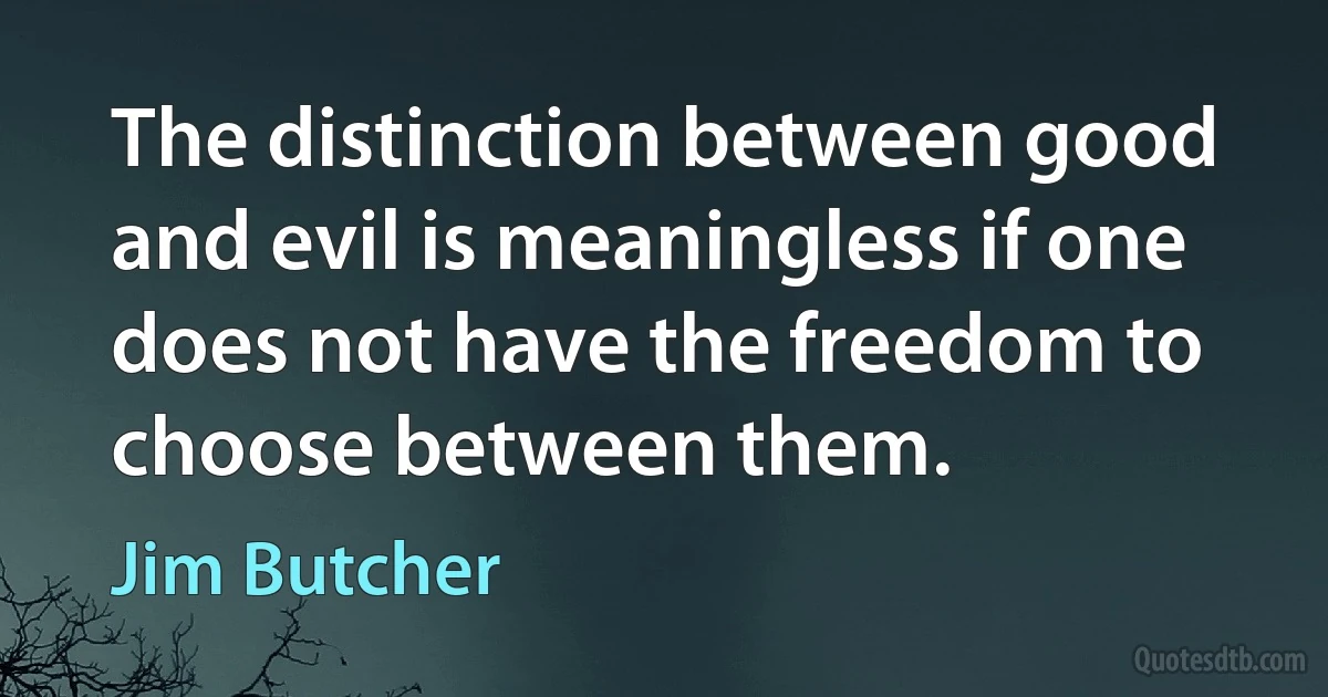 The distinction between good and evil is meaningless if one does not have the freedom to choose between them. (Jim Butcher)