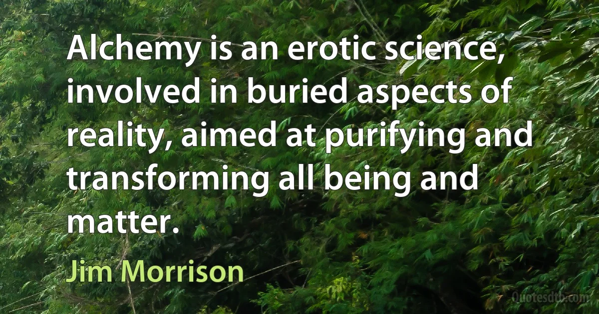 Alchemy is an erotic science, involved in buried aspects of reality, aimed at purifying and transforming all being and matter. (Jim Morrison)