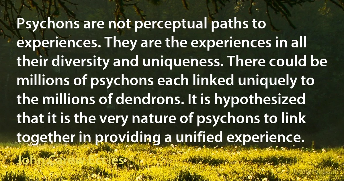 Psychons are not perceptual paths to experiences. They are the experiences in all their diversity and uniqueness. There could be millions of psychons each linked uniquely to the millions of dendrons. It is hypothesized that it is the very nature of psychons to link together in providing a unified experience. (John Carew Eccles)