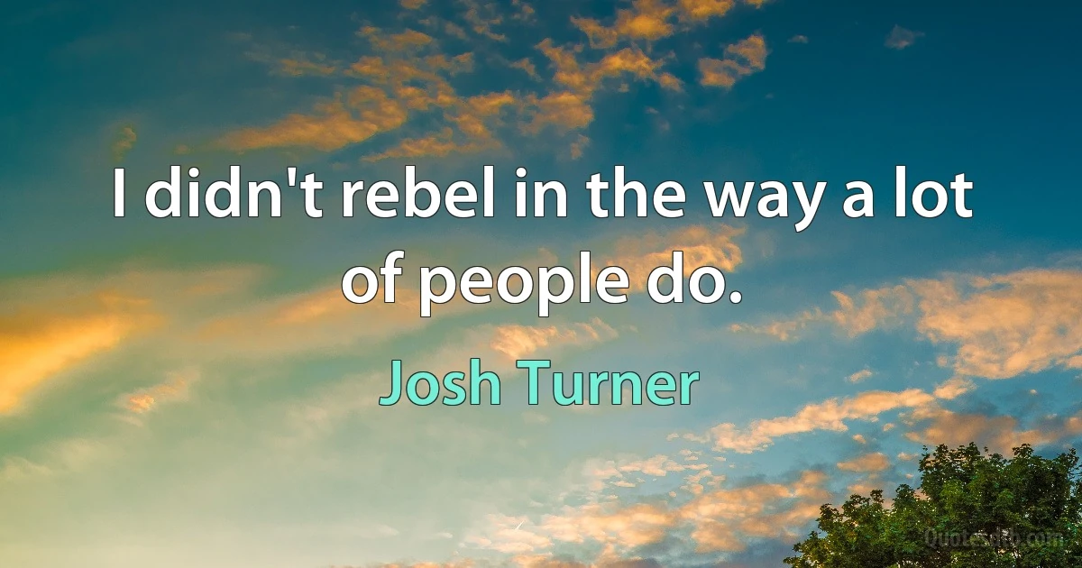 I didn't rebel in the way a lot of people do. (Josh Turner)