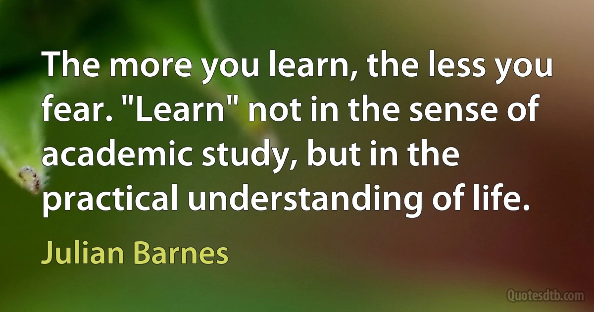 The more you learn, the less you fear. "Learn" not in the sense of academic study, but in the practical understanding of life. (Julian Barnes)