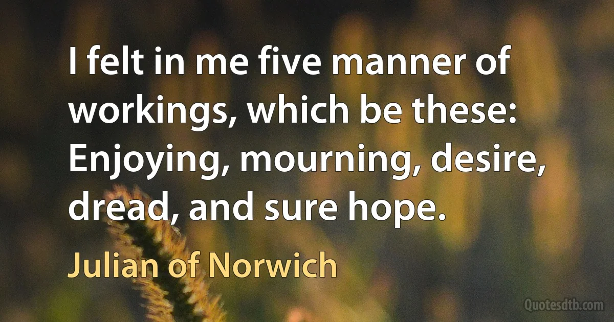 I felt in me five manner of workings, which be these: Enjoying, mourning, desire, dread, and sure hope. (Julian of Norwich)