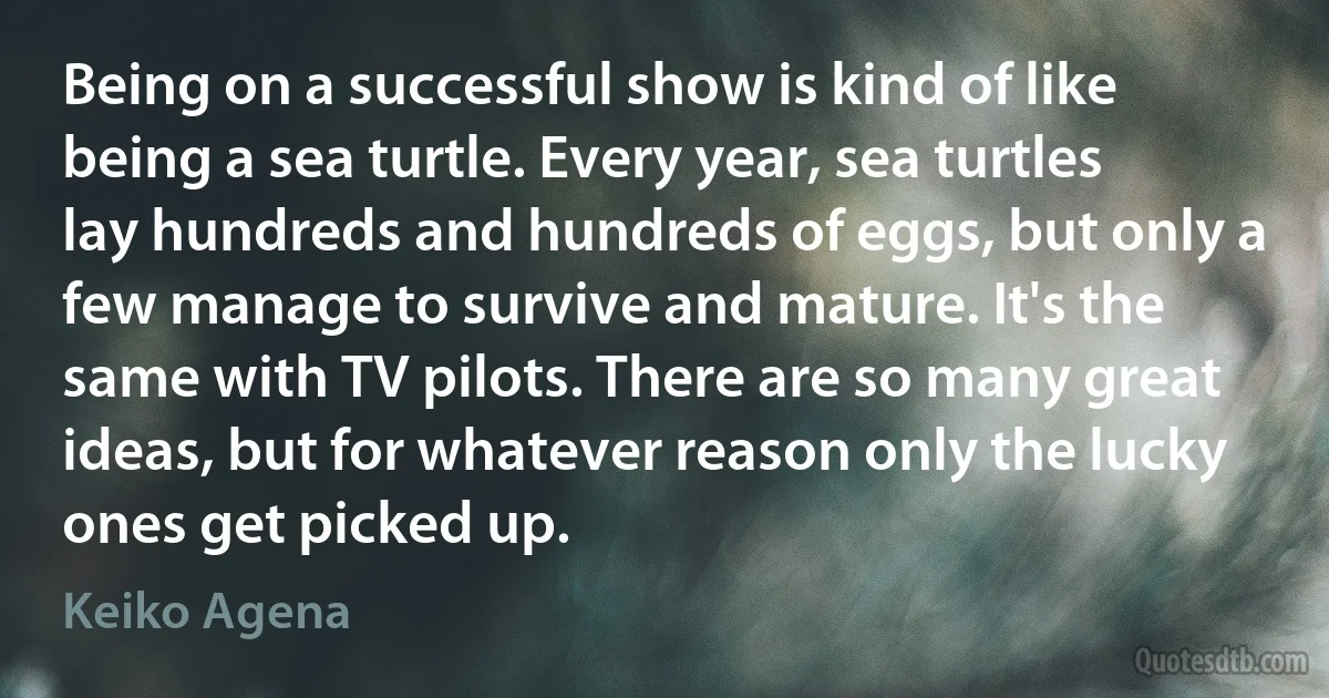 Being on a successful show is kind of like being a sea turtle. Every year, sea turtles lay hundreds and hundreds of eggs, but only a few manage to survive and mature. It's the same with TV pilots. There are so many great ideas, but for whatever reason only the lucky ones get picked up. (Keiko Agena)