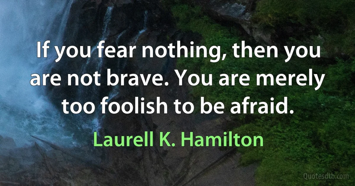 If you fear nothing, then you are not brave. You are merely too foolish to be afraid. (Laurell K. Hamilton)