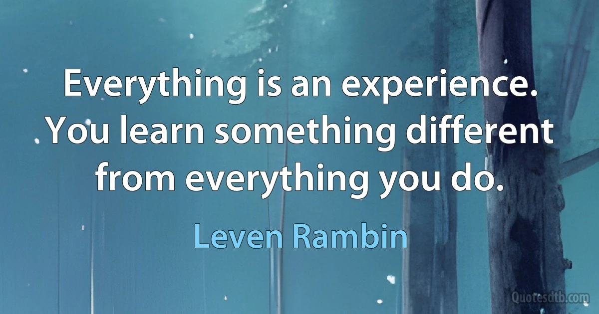 Everything is an experience. You learn something different from everything you do. (Leven Rambin)