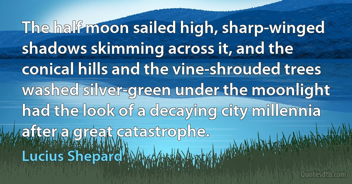 The half moon sailed high, sharp-winged shadows skimming across it, and the conical hills and the vine-shrouded trees washed silver-green under the moonlight had the look of a decaying city millennia after a great catastrophe. (Lucius Shepard)