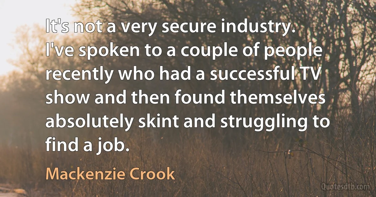 It's not a very secure industry. I've spoken to a couple of people recently who had a successful TV show and then found themselves absolutely skint and struggling to find a job. (Mackenzie Crook)