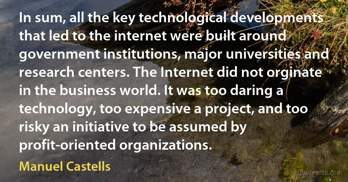 In sum, all the key technological developments that led to the internet were built around government institutions, major universities and research centers. The Internet did not orginate in the business world. It was too daring a technology, too expensive a project, and too risky an initiative to be assumed by profit-oriented organizations. (Manuel Castells)