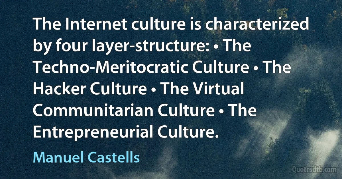 The Internet culture is characterized by four layer-structure: • The Techno-Meritocratic Culture • The Hacker Culture • The Virtual Communitarian Culture • The Entrepreneurial Culture. (Manuel Castells)