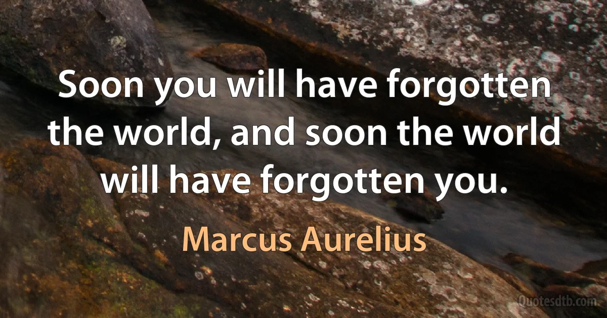 Soon you will have forgotten the world, and soon the world will have forgotten you. (Marcus Aurelius)