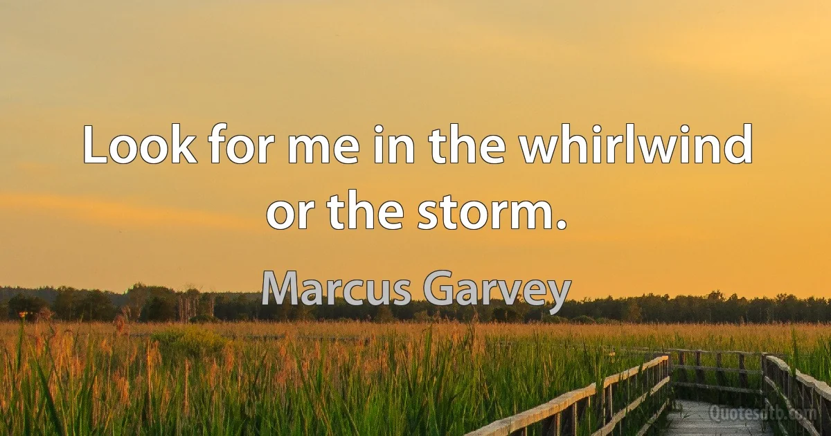 Look for me in the whirlwind or the storm. (Marcus Garvey)