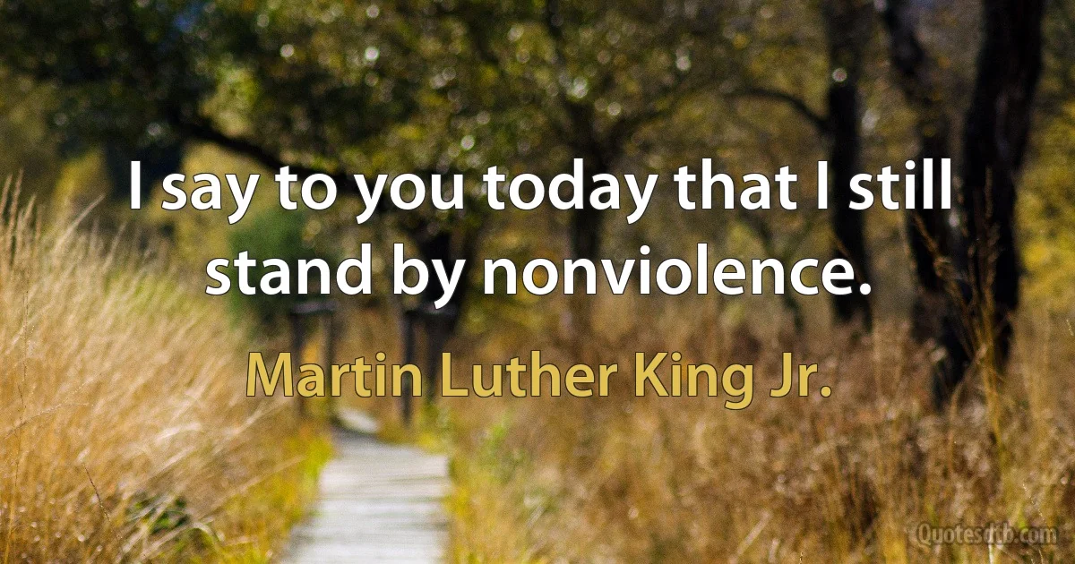 I say to you today that I still stand by nonviolence. (Martin Luther King Jr.)