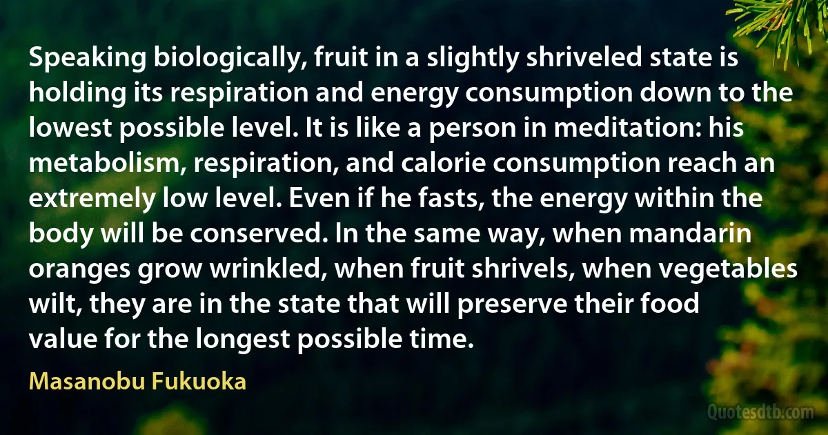 Speaking biologically, fruit in a slightly shriveled state is holding its respiration and energy consumption down to the lowest possible level. It is like a person in meditation: his metabolism, respiration, and calorie consumption reach an extremely low level. Even if he fasts, the energy within the body will be conserved. In the same way, when mandarin oranges grow wrinkled, when fruit shrivels, when vegetables wilt, they are in the state that will preserve their food value for the longest possible time. (Masanobu Fukuoka)