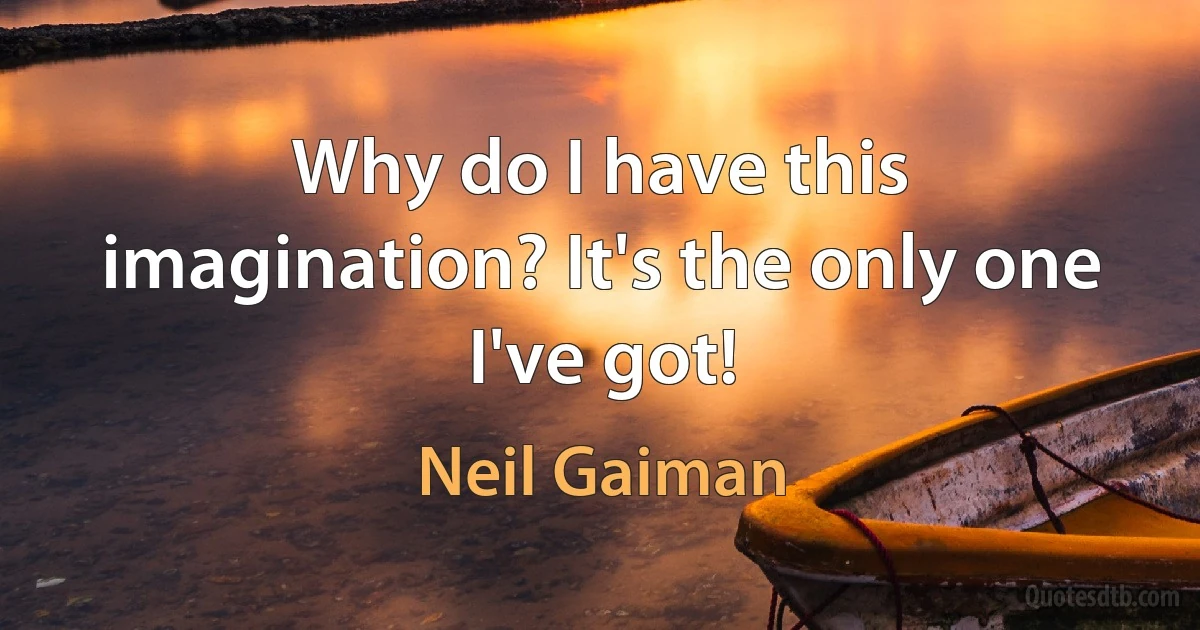 Why do I have this imagination? It's the only one I've got! (Neil Gaiman)