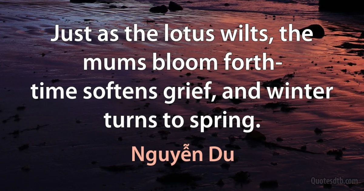 Just as the lotus wilts, the mums bloom forth-
time softens grief, and winter turns to spring. (Nguyễn Du)