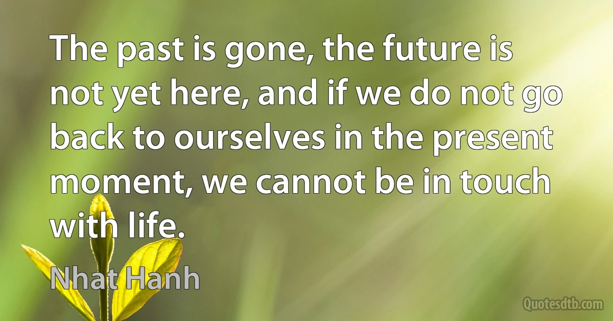 The past is gone, the future is not yet here, and if we do not go back to ourselves in the present moment, we cannot be in touch with life. (Nhat Hanh)