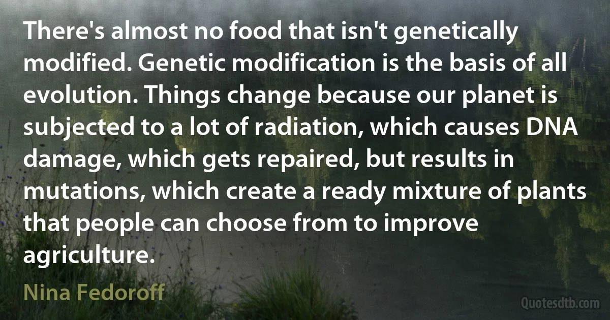 There's almost no food that isn't genetically modified. Genetic modification is the basis of all evolution. Things change because our planet is subjected to a lot of radiation, which causes DNA damage, which gets repaired, but results in mutations, which create a ready mixture of plants that people can choose from to improve agriculture. (Nina Fedoroff)