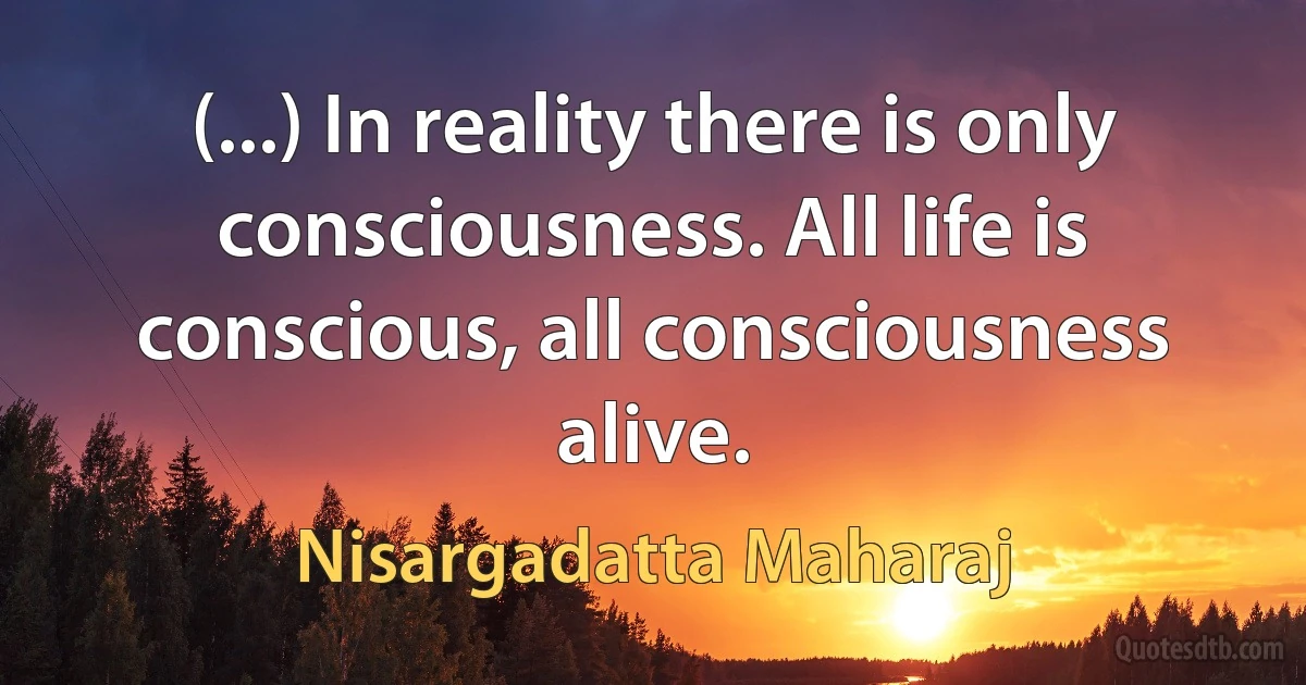 (...) In reality there is only consciousness. All life is conscious, all consciousness alive. (Nisargadatta Maharaj)