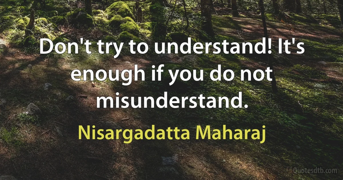 Don't try to understand! It's enough if you do not misunderstand. (Nisargadatta Maharaj)