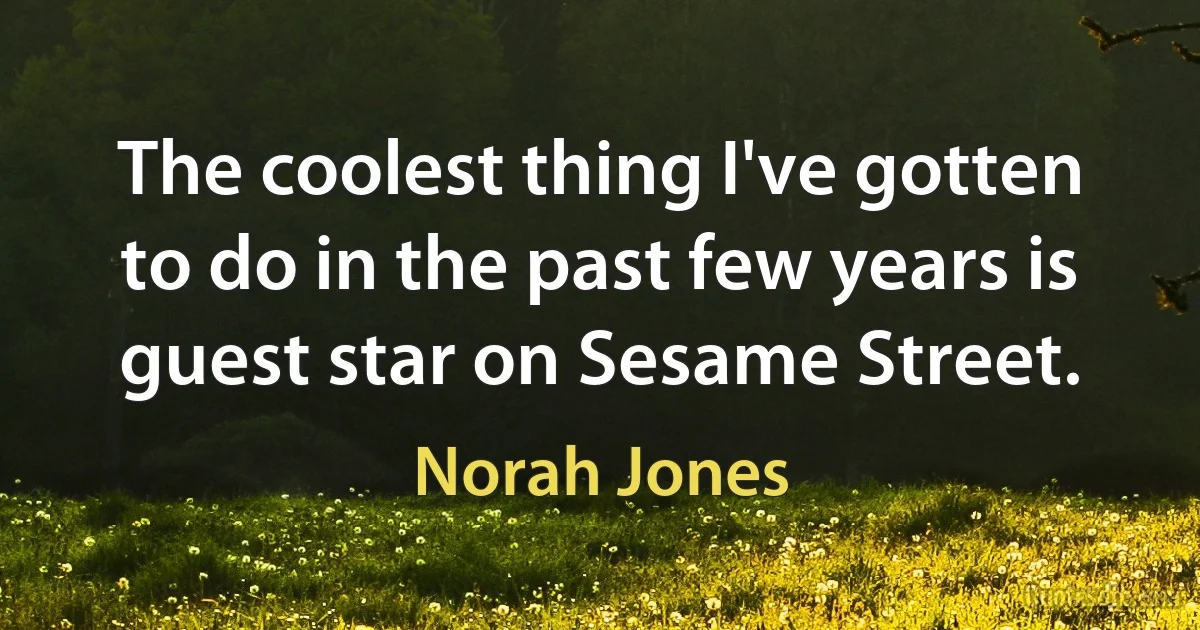 The coolest thing I've gotten to do in the past few years is guest star on Sesame Street. (Norah Jones)