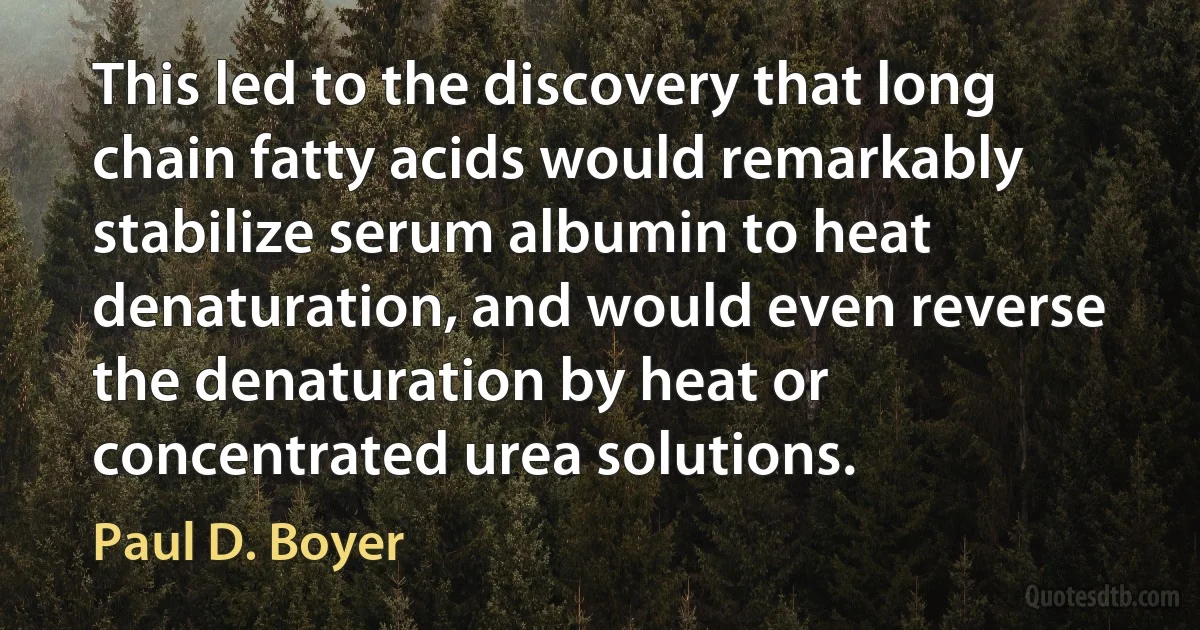 This led to the discovery that long chain fatty acids would remarkably stabilize serum albumin to heat denaturation, and would even reverse the denaturation by heat or concentrated urea solutions. (Paul D. Boyer)