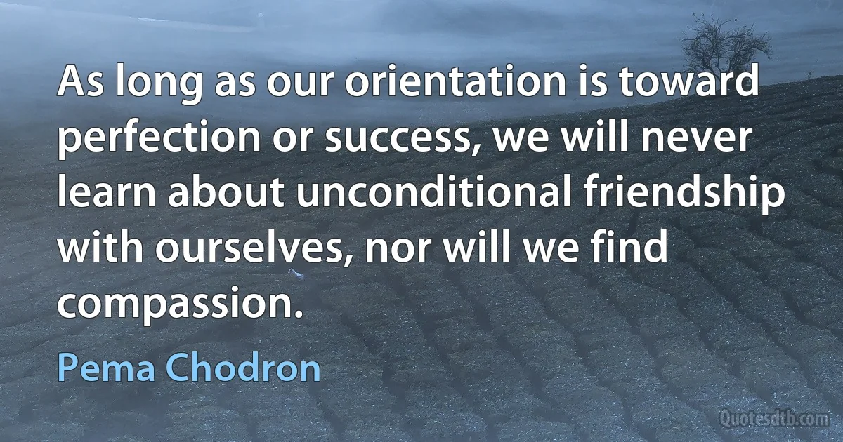 As long as our orientation is toward perfection or success, we will never learn about unconditional friendship with ourselves, nor will we find compassion. (Pema Chodron)