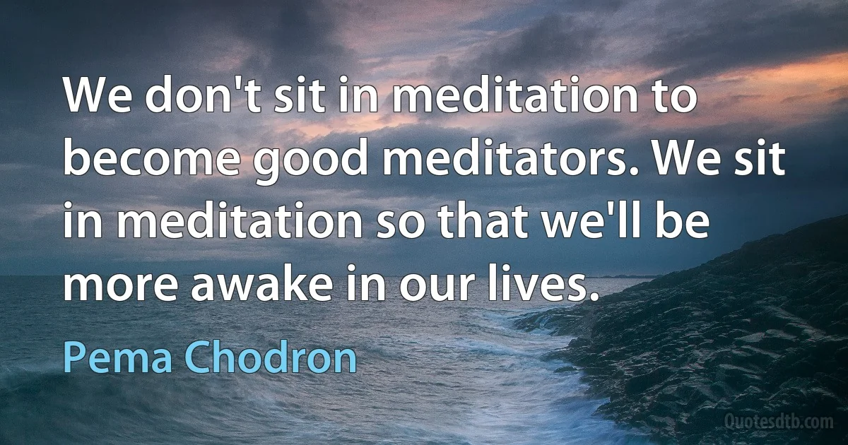 We don't sit in meditation to become good meditators. We sit in meditation so that we'll be more awake in our lives. (Pema Chodron)