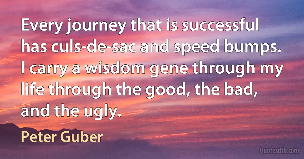 Every journey that is successful has culs-de-sac and speed bumps. I carry a wisdom gene through my life through the good, the bad, and the ugly. (Peter Guber)