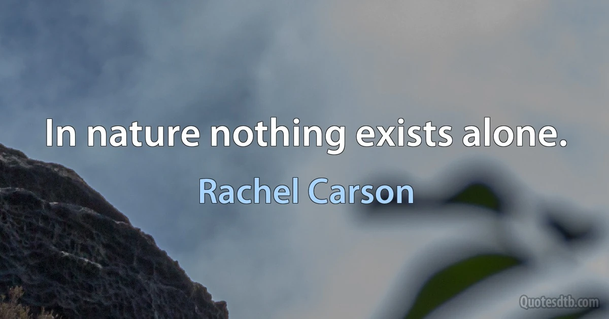 In nature nothing exists alone. (Rachel Carson)