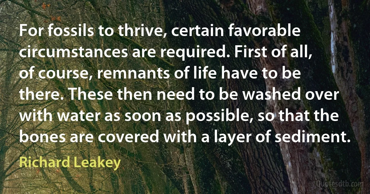 For fossils to thrive, certain favorable circumstances are required. First of all, of course, remnants of life have to be there. These then need to be washed over with water as soon as possible, so that the bones are covered with a layer of sediment. (Richard Leakey)