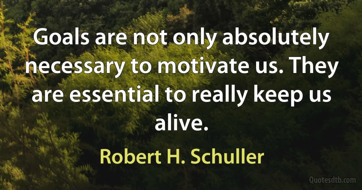 Goals are not only absolutely necessary to motivate us. They are essential to really keep us alive. (Robert H. Schuller)