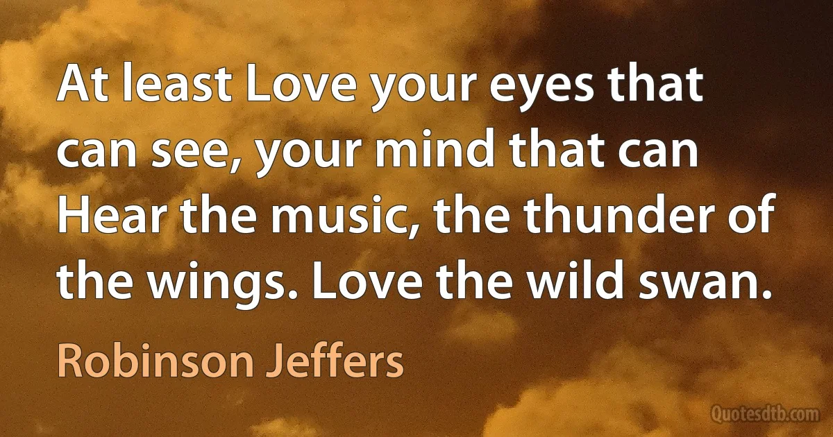 At least Love your eyes that can see, your mind that can
Hear the music, the thunder of the wings. Love the wild swan. (Robinson Jeffers)