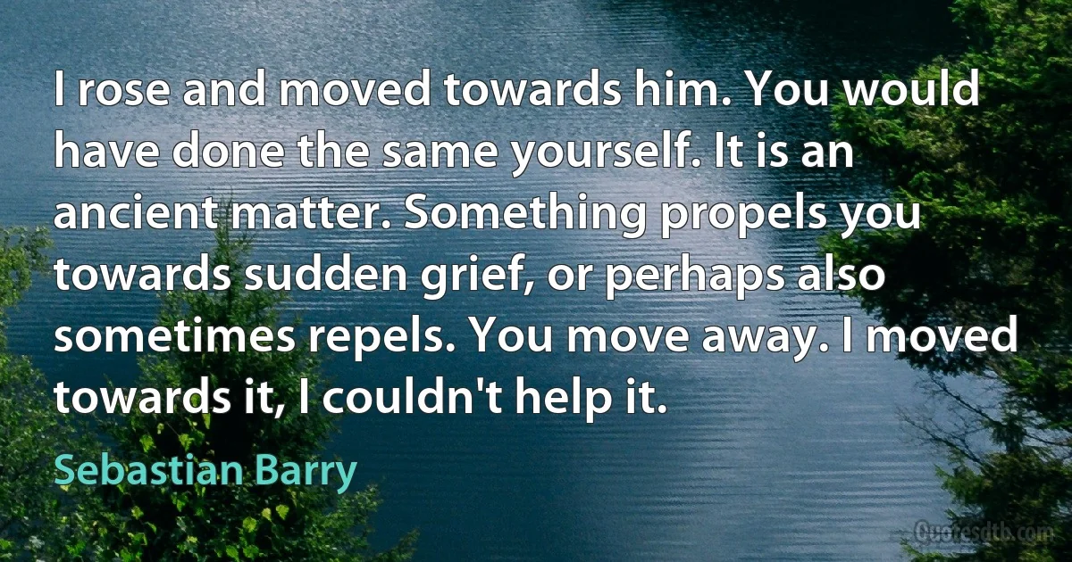 I rose and moved towards him. You would have done the same yourself. It is an ancient matter. Something propels you towards sudden grief, or perhaps also sometimes repels. You move away. I moved towards it, I couldn't help it. (Sebastian Barry)