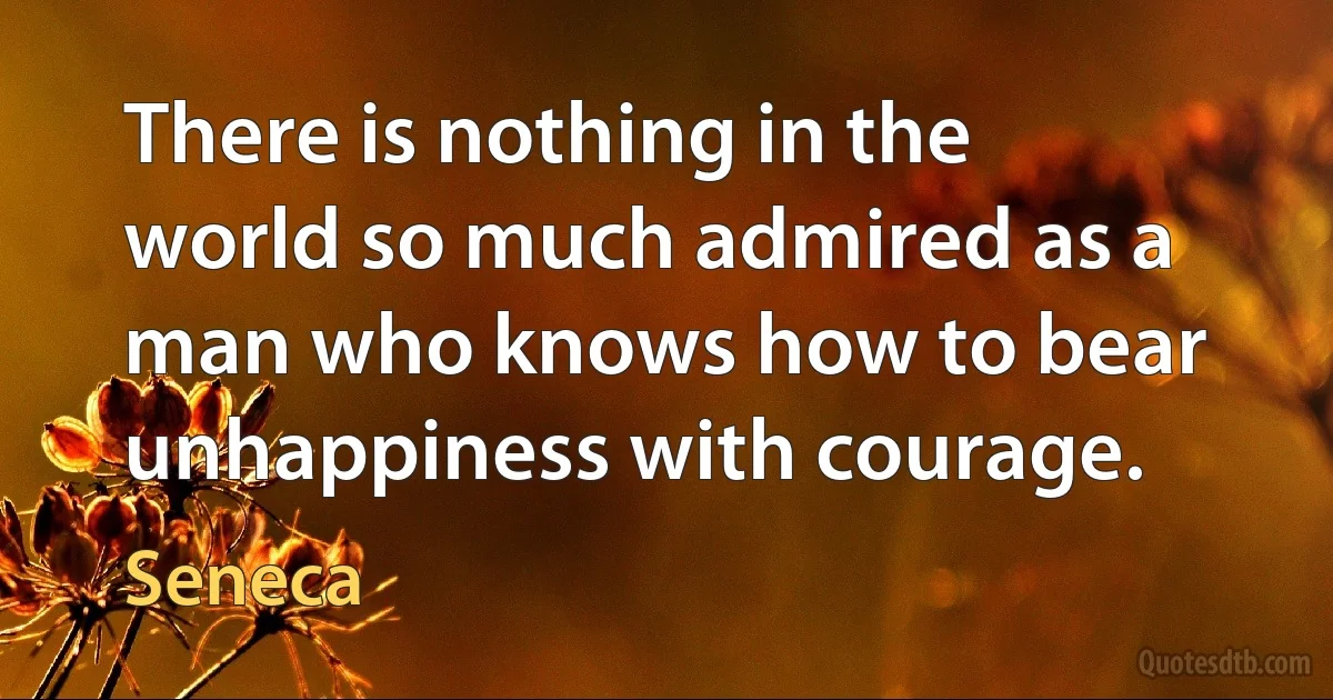 There is nothing in the world so much admired as a man who knows how to bear unhappiness with courage. (Seneca)