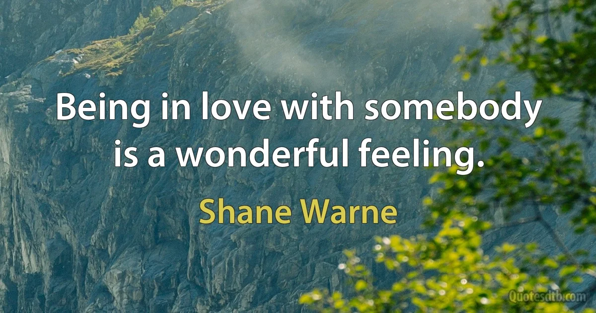 Being in love with somebody is a wonderful feeling. (Shane Warne)