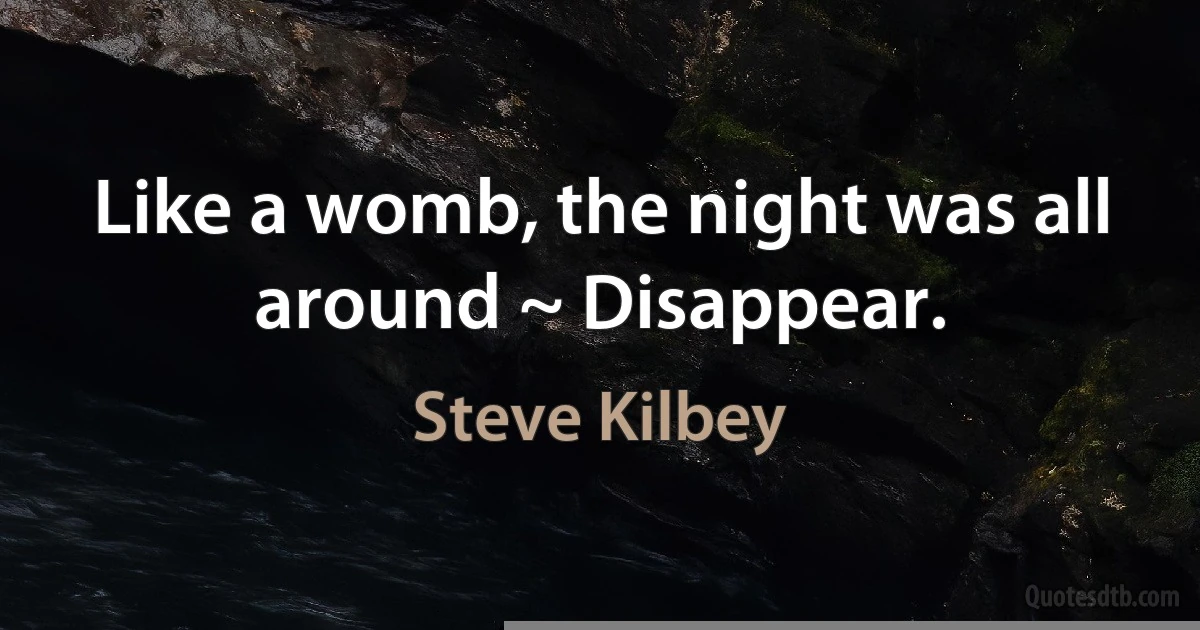 Like a womb, the night was all around ~ Disappear. (Steve Kilbey)