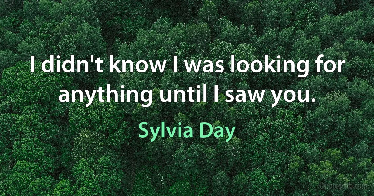 I didn't know I was looking for anything until I saw you. (Sylvia Day)