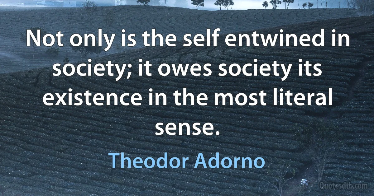 Not only is the self entwined in society; it owes society its existence in the most literal sense. (Theodor Adorno)