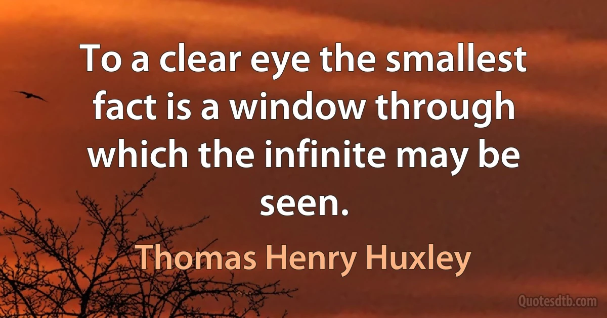 To a clear eye the smallest fact is a window through which the infinite may be seen. (Thomas Henry Huxley)