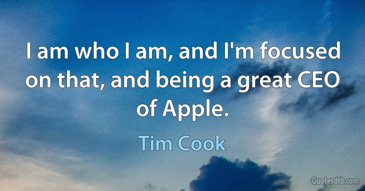 I am who I am, and I'm focused on that, and being a great CEO of Apple. (Tim Cook)