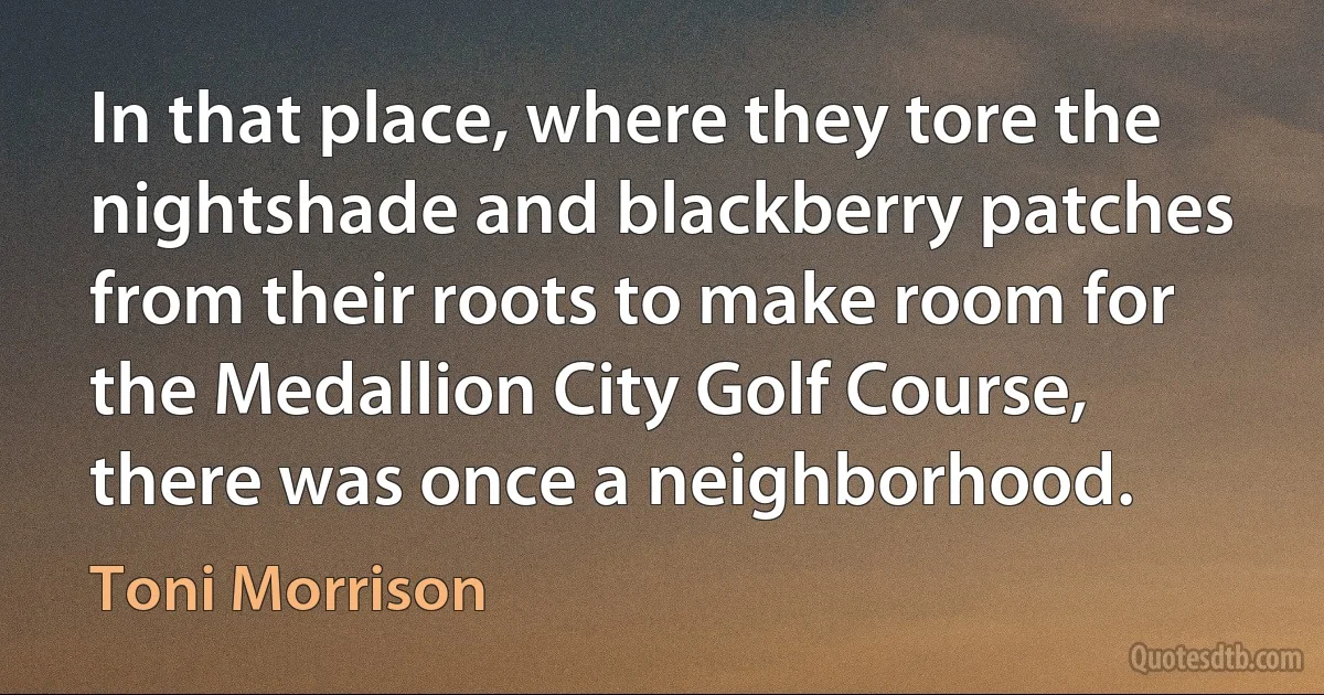 In that place, where they tore the nightshade and blackberry patches from their roots to make room for the Medallion City Golf Course, there was once a neighborhood. (Toni Morrison)