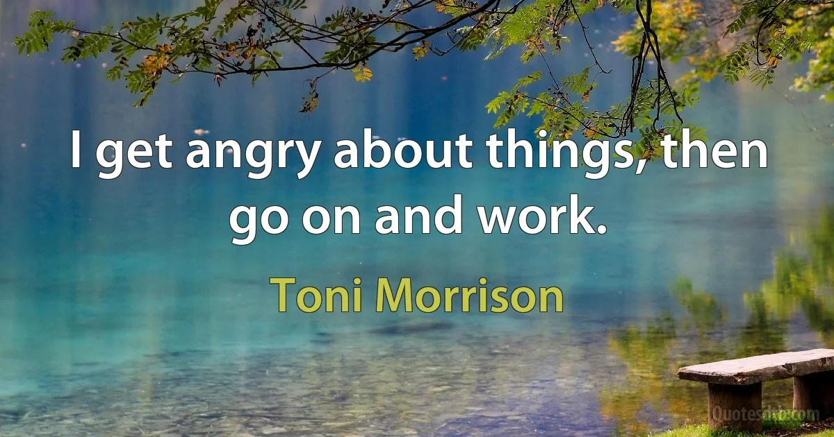 I get angry about things, then go on and work. (Toni Morrison)