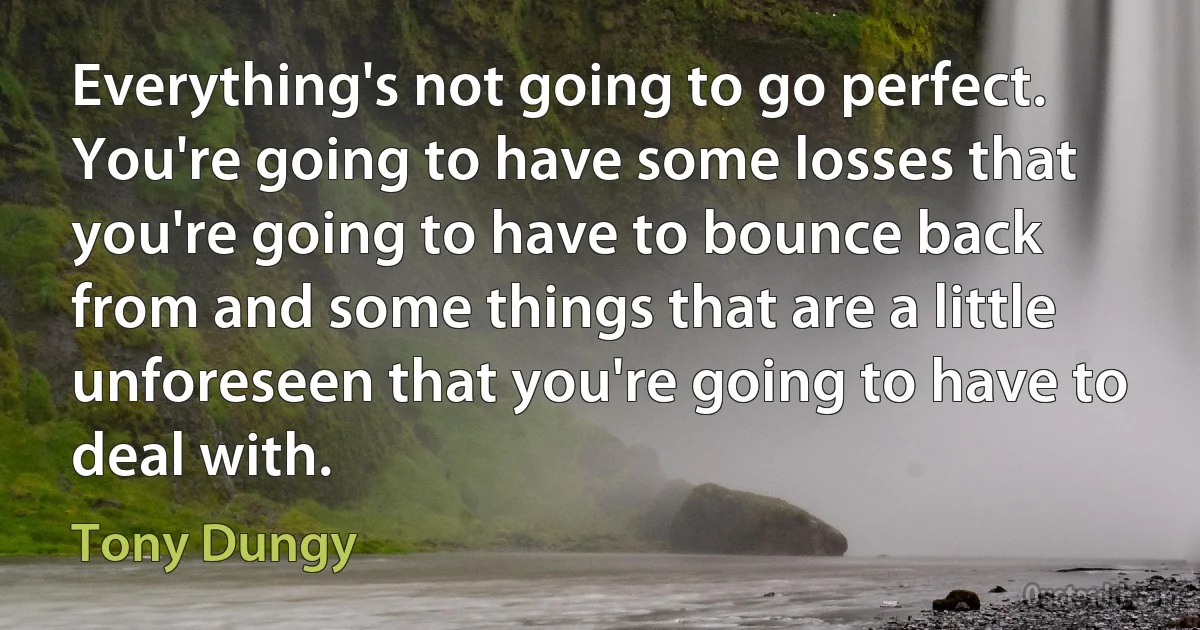 Everything's not going to go perfect. You're going to have some losses that you're going to have to bounce back from and some things that are a little unforeseen that you're going to have to deal with. (Tony Dungy)