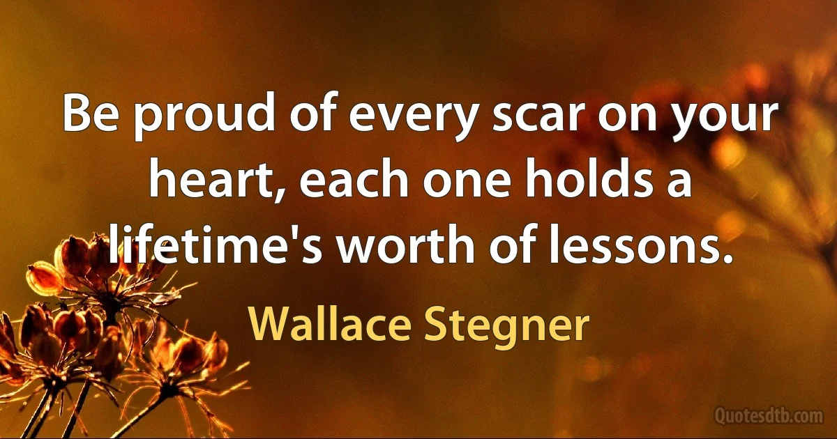 Be proud of every scar on your heart, each one holds a lifetime's worth of lessons. (Wallace Stegner)