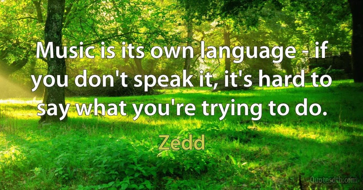 Music is its own language - if you don't speak it, it's hard to say what you're trying to do. (Zedd)